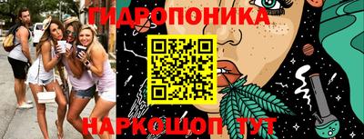 гашик Кулебаки
