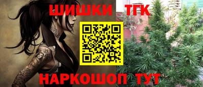 гашик Кулебаки