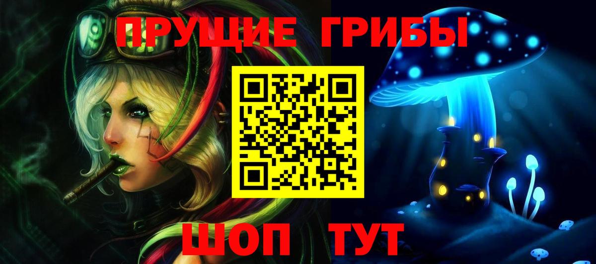 Псилоцибиновые грибы мицелий Энгельс